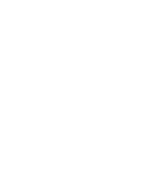 fv-logo